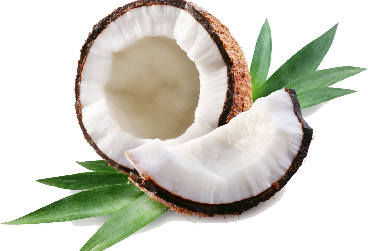 Coconut Clipart Transparent - Coconut Png (1200x800)