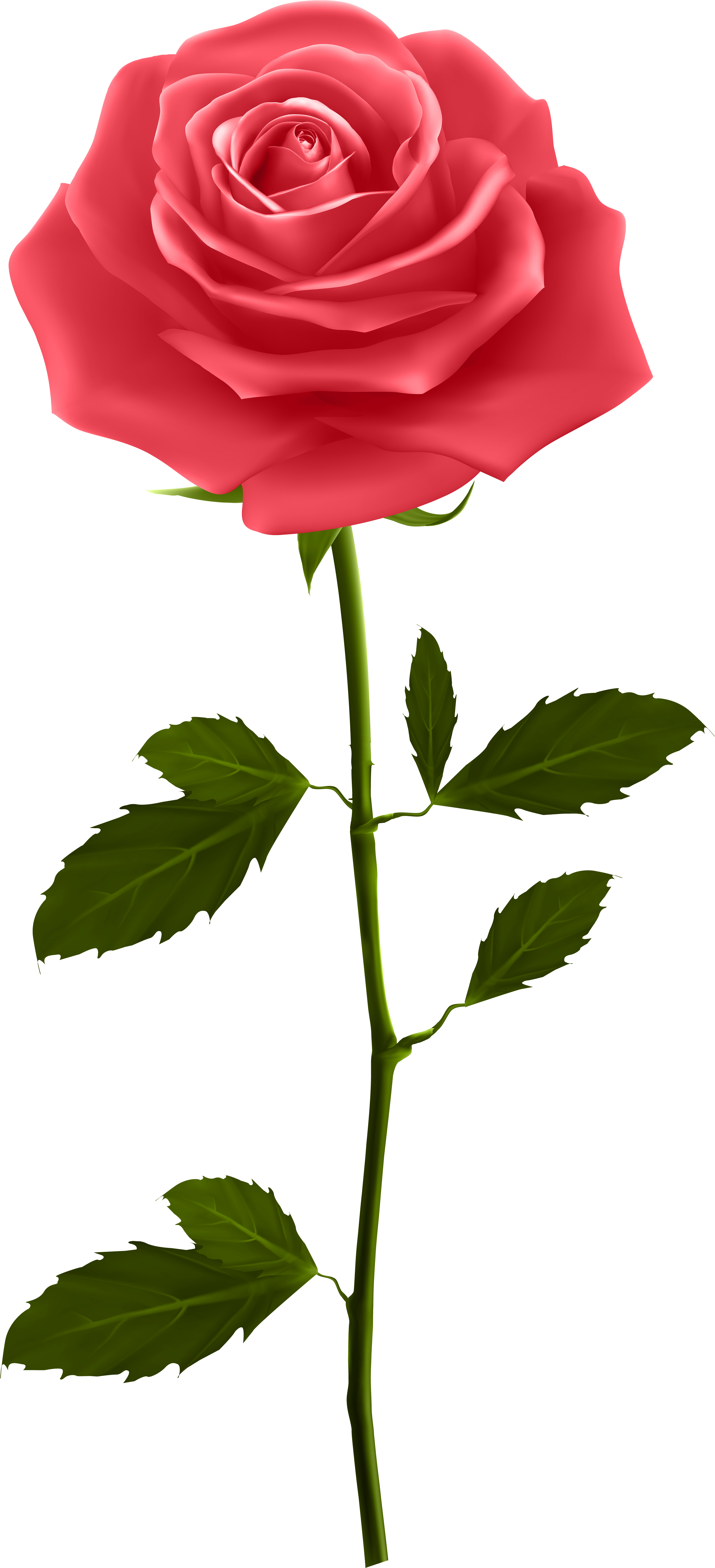 0, - Good Morning Gif For Whatsapp (3706x8000)