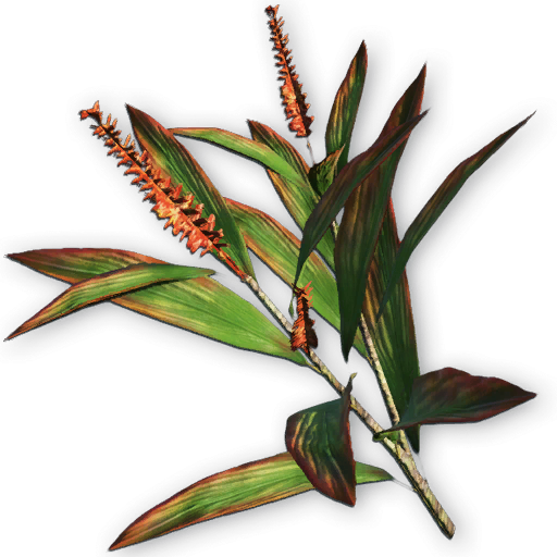 Java Fern On 3 X 2 5 Coco Mat Microsorum Pteropus Easy - Far Cry 3 Plants (512x512)