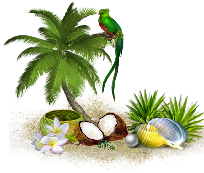 Отдых И Путешествия - Palm Tree Clip Art (650x552)