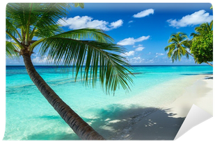 Coco Palm On Tropical Paradise Beach With Turquoise - Plage Paradisiaque (400x400)