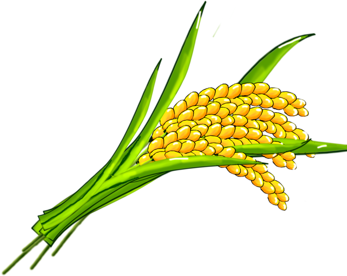 Rice Clip Art - Rice (724x1024)