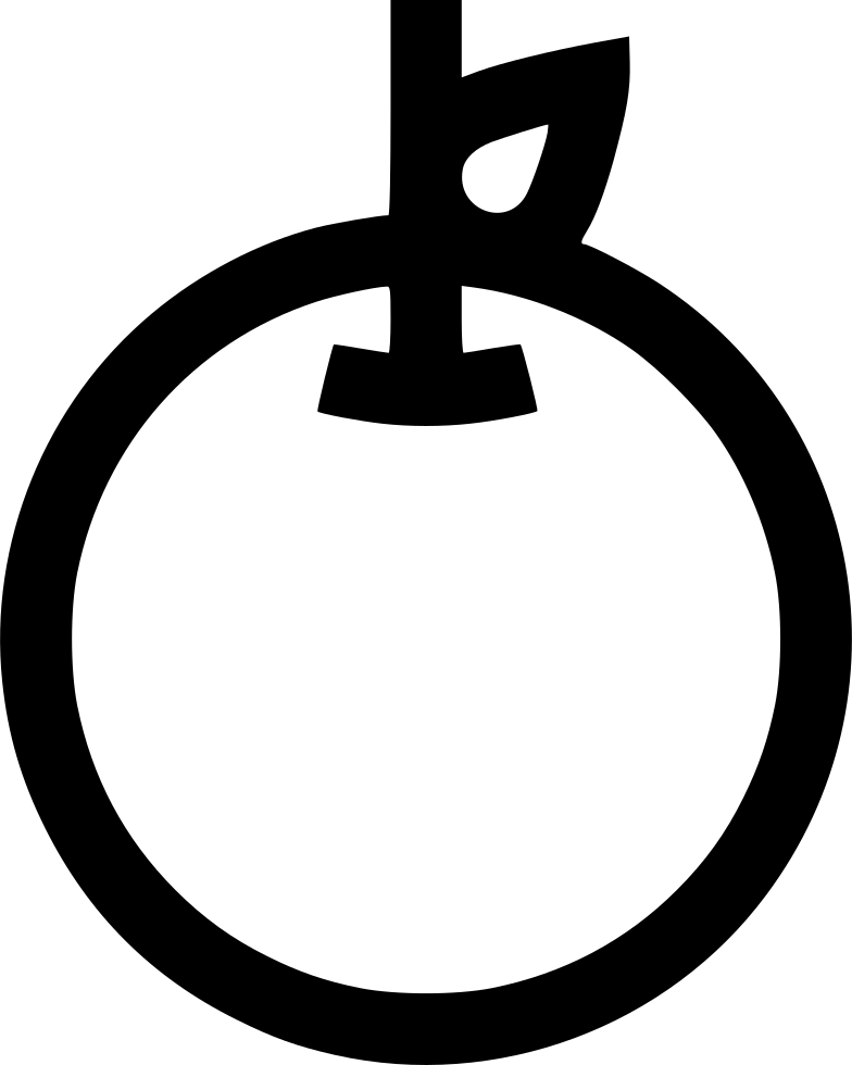 Fruit Apple Training Teacher Diet Nutrition Comments - Arrow Around Icon (784x980)