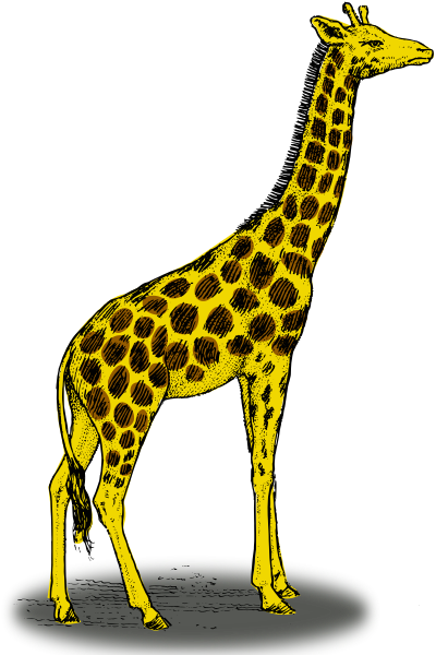 Cute Baby Giraffe Cartoon - Color Is A Giraffe (400x600)