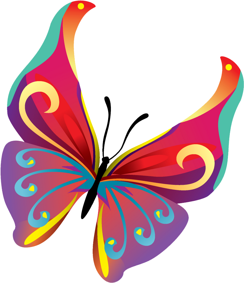 Butterflies Vector Png Pic - Cartoon Butterfly (1000x1000)