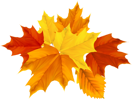 Autumn Leaf Color Maple Leaf - Autumn Leaf Color Maple Leaf (842x595)