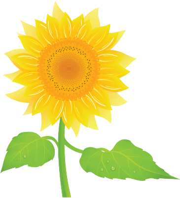 Studyladder, Online English Literacy & Mathematics - Sunflower (400x409)