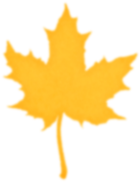 Maple Leaf (500x500)