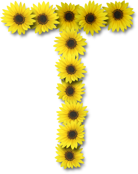 Alfabeto Sunflowers - Sunflower Alphabet T (588x738)