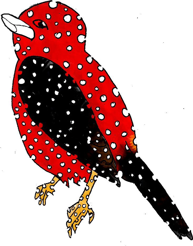 Wimbled Tanager - Flightless Bird (773x956)