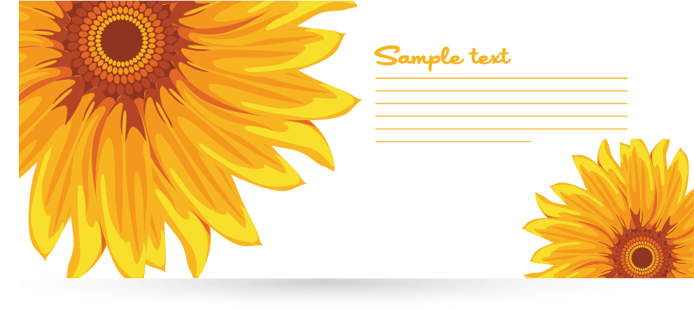 Common Sunflower Download Euclidean Vector - Common Sunflower Download Euclidean Vector (1457x994)