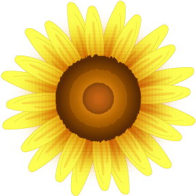 Common Sunflower - Yellow Sunflowers - Common Sunflower - Yellow Sunflowers (547x547)