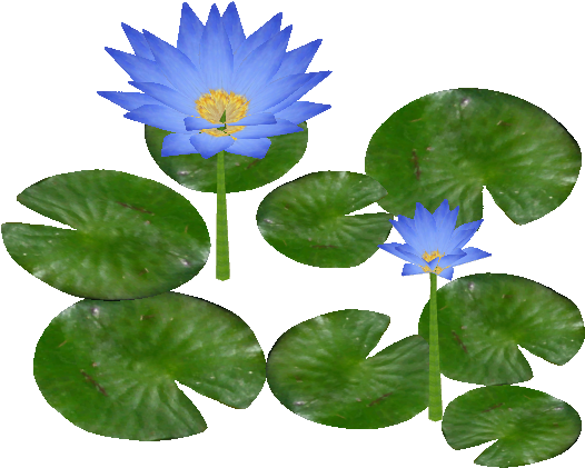 Giant Water Lily - Free Water Lily Png (525x525)