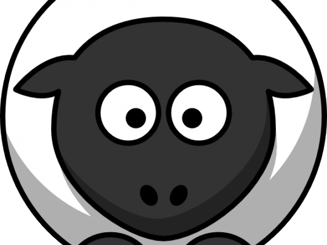 Feet Clipart Sheep - Cartoon Sheep (640x480)