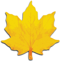 Maple Leaf Clip Art (512x250)