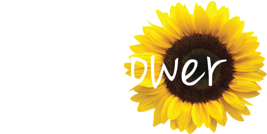 The Sunflower Guesthouse The Sunflower Guesthouse - Common Sunflower (564x285)