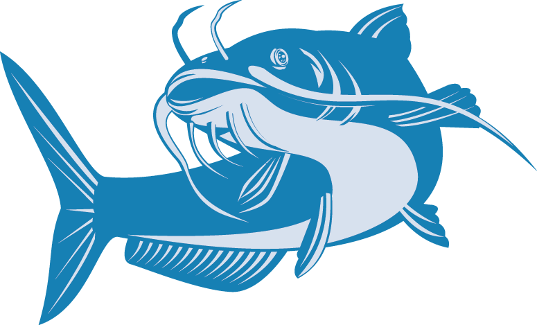 8 Signs Your Internet Boyfriend Is Really A Catfish - Cartoon Catfish (775x469)