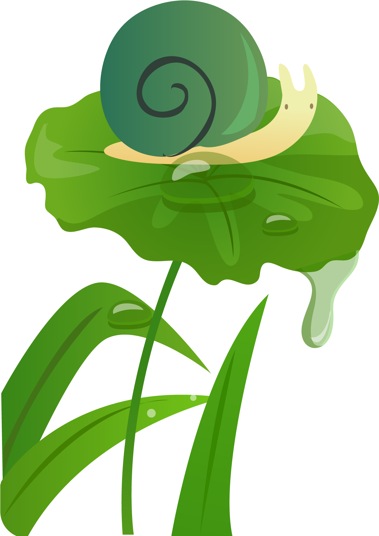 Leaf Rain Illustration - Leaf Rain Illustration (1525x1931)