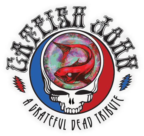 Catfish John - Grateful Dead Steal Your Face (500x500)