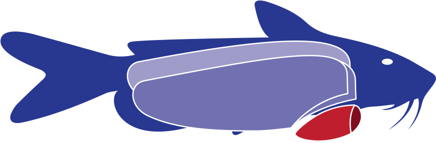 Nuggets Are The Lower Part Of The Shank Fillet Available - Nuggets Are The Lower Part Of The Shank Fillet Available (1000x300)