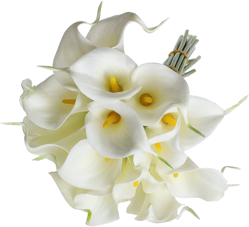 Eforcase Refreshing Calla Lily Bridal Wedding Bouquet - Sodial Calla Lily Bridal Wedding Bouquet 20 Head Latex (600x600)