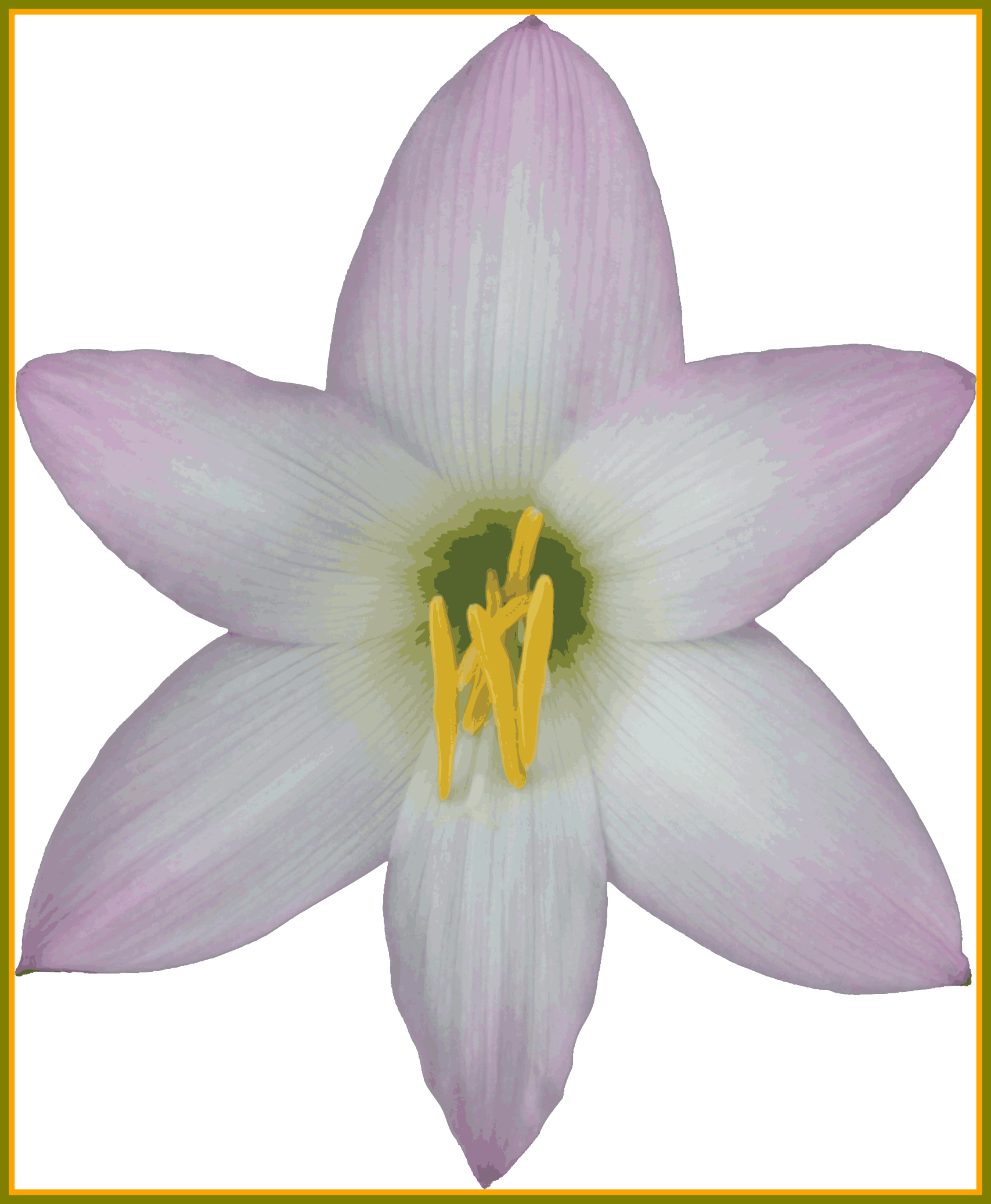 Incredible Transparent Background Nature Gif And Png - Lily (1707x2074)