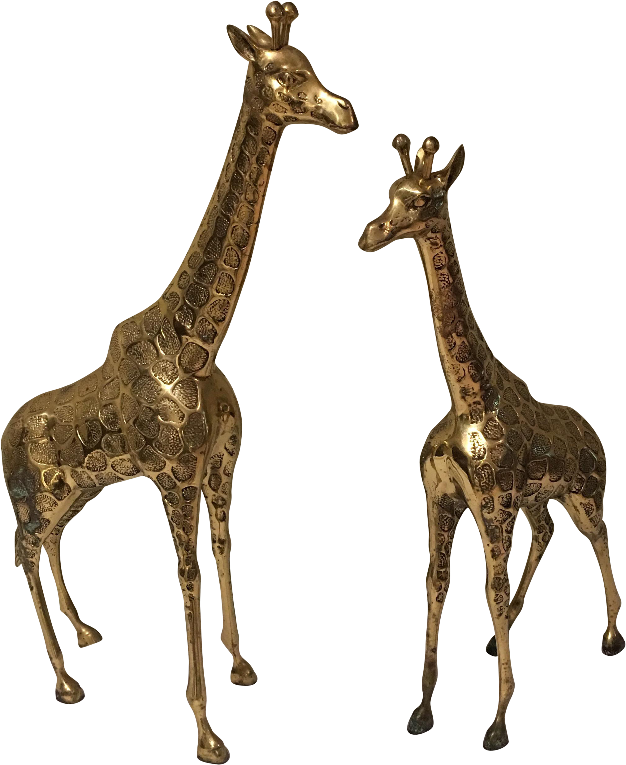 Giraffe (2247x2746)