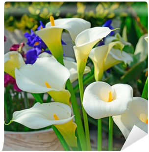 Go To Image - Wedding (400x400)