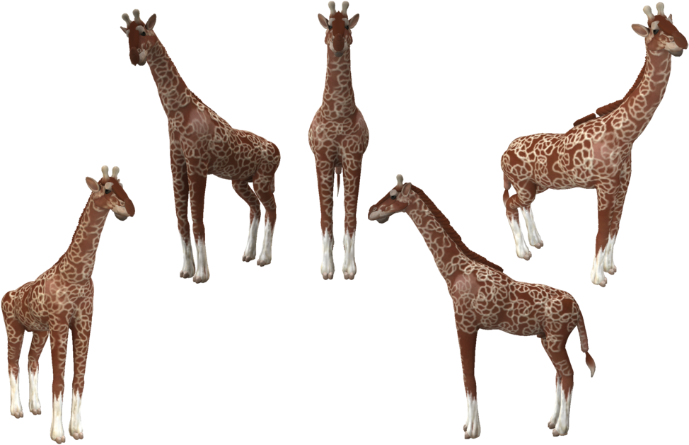 Spore Creature Reticulated Giraffe By Evilution90 On - Giraffe (1024x640)