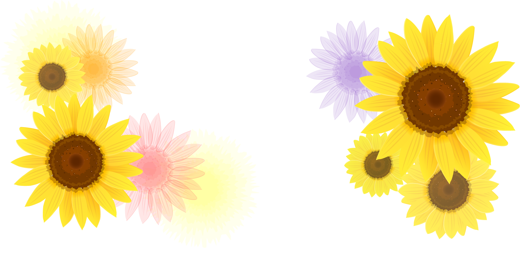 Common Sunflower Euclidean Vector Pattern - Common Sunflower Euclidean Vector Pattern (1761x905)