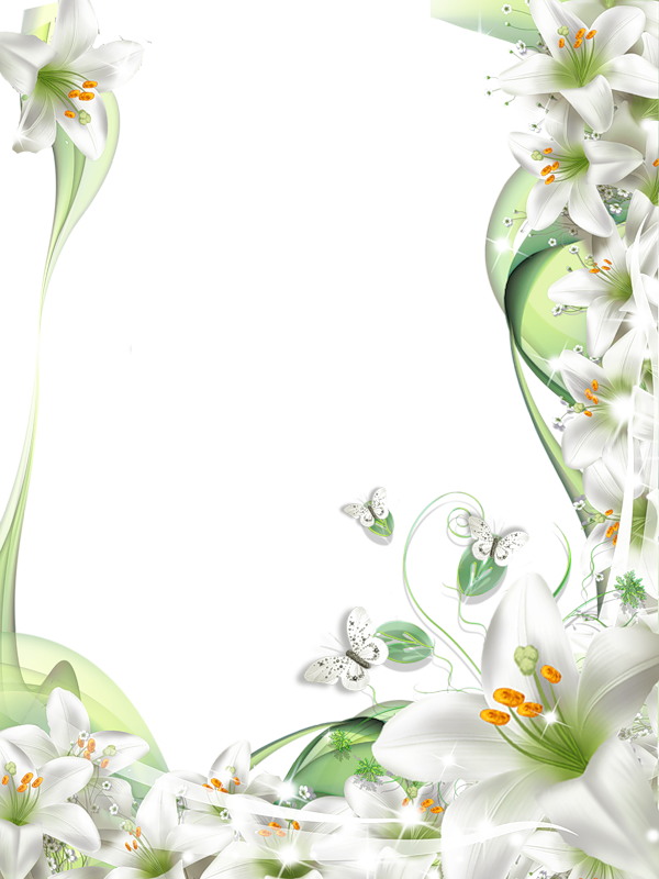 Transparent Png Photo Frame With - White Rose Frame Png (600x800)