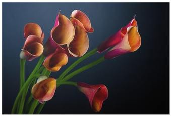 Bouquet Of Orange Calla Lily Over Black Background - Calla Lily (400x400)