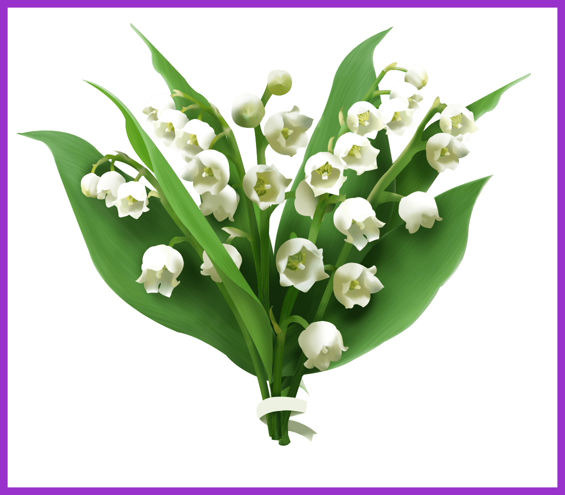 Fascinating Lily Of The Valley Png Picture Mart Flower - Lily Of The Valley Png (1130x990)