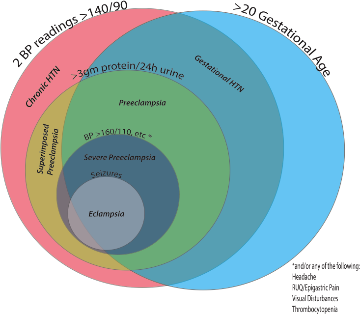 Classification Of Hypertension In Pregnancy - Circle (743x642)