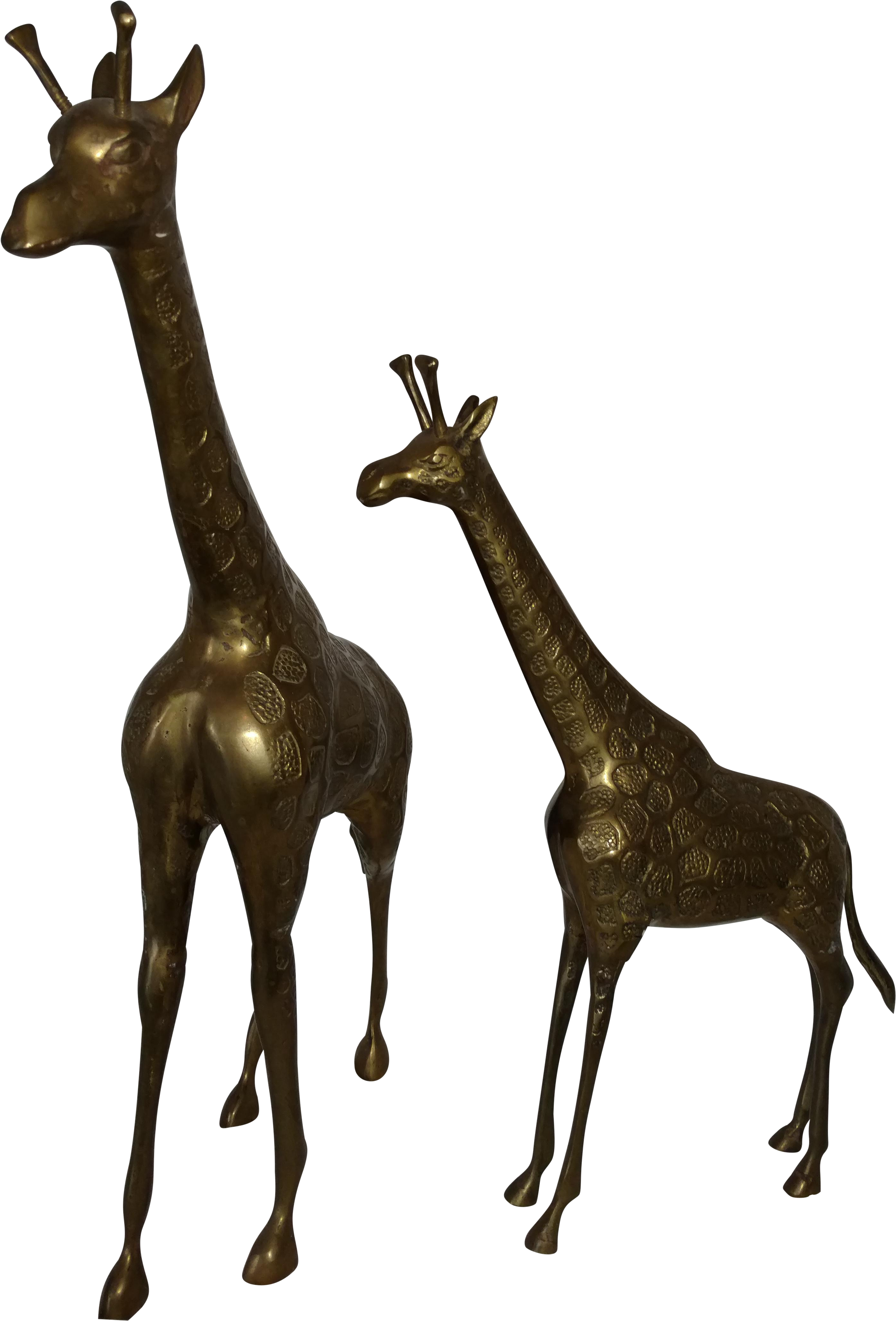 Giraffe (3118x4596)