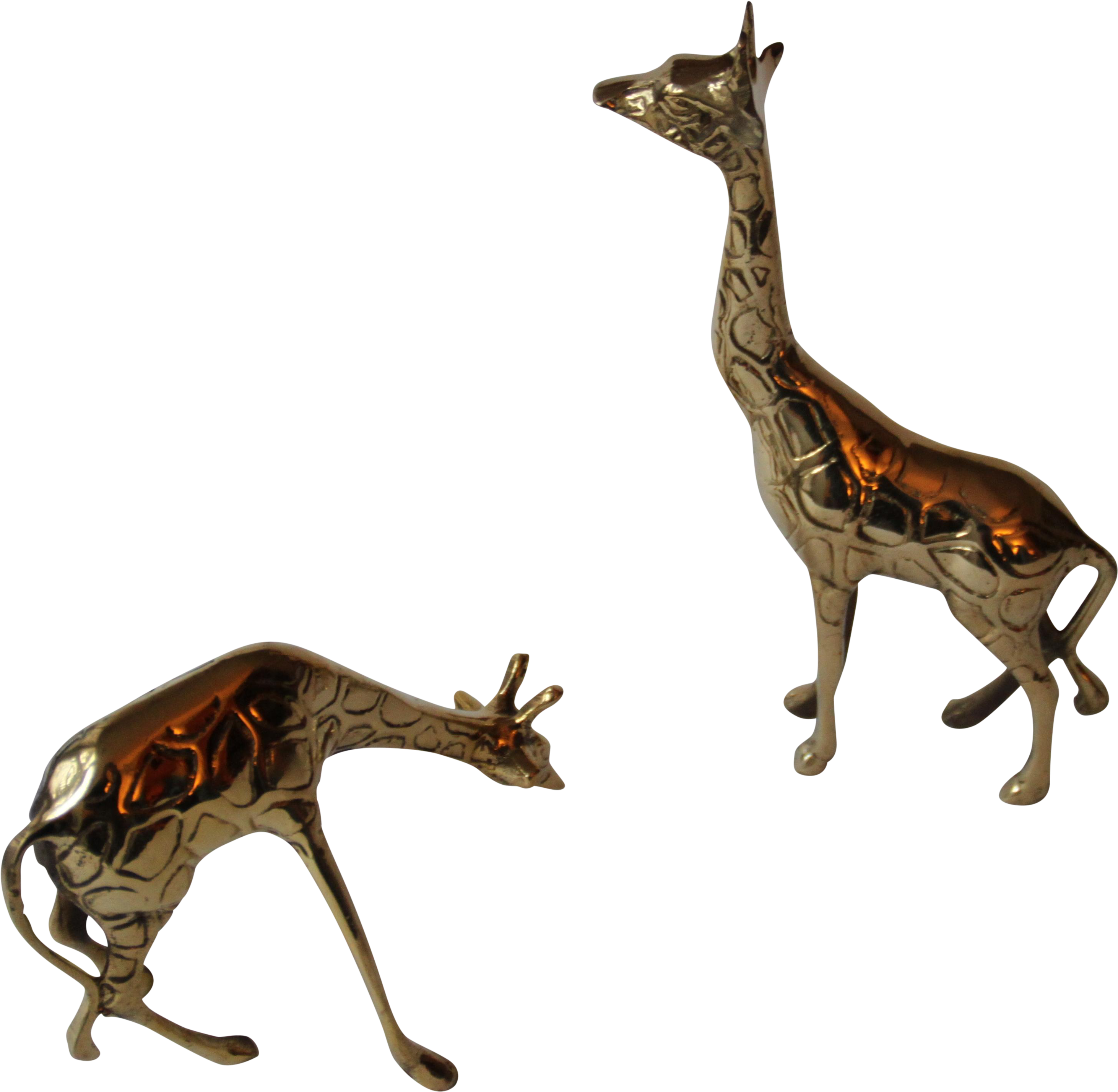 Giraffe (4752x3168)
