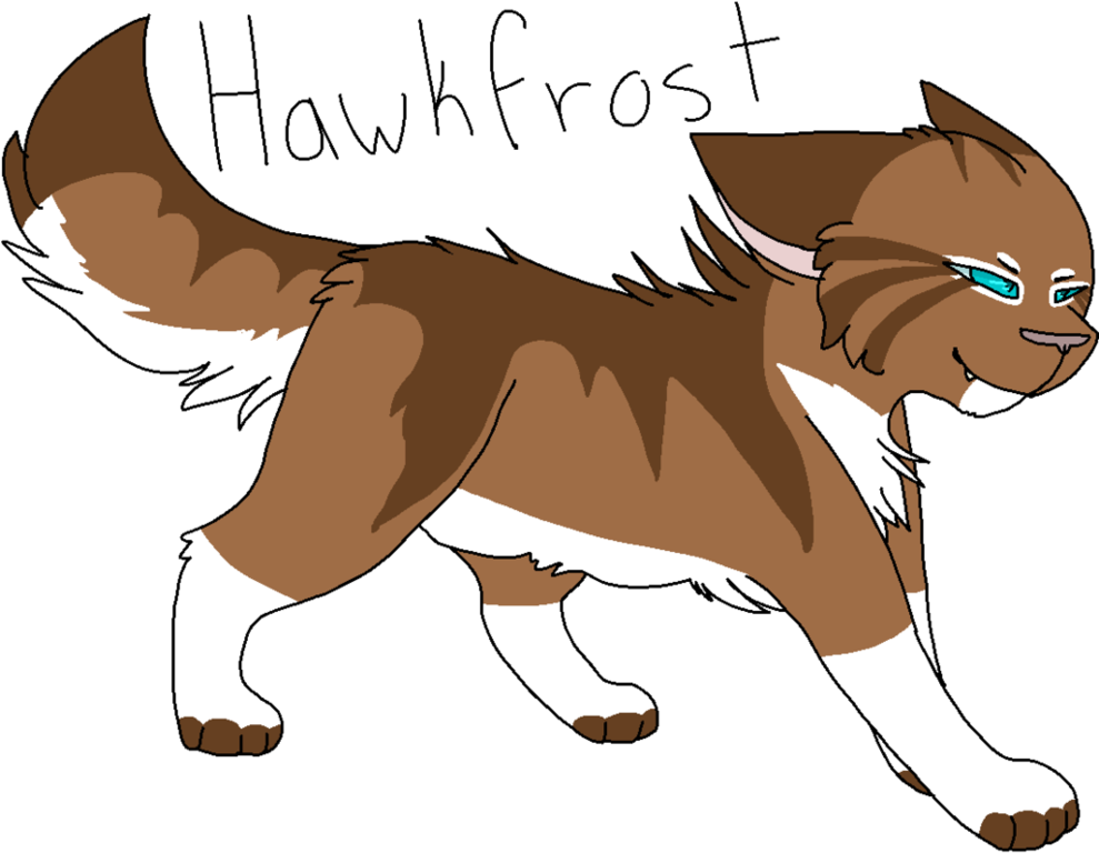 37 Hawkfrost By Icedog Mcmuffin - Warrior Cats Icedogs Mcmuffin (988x809)