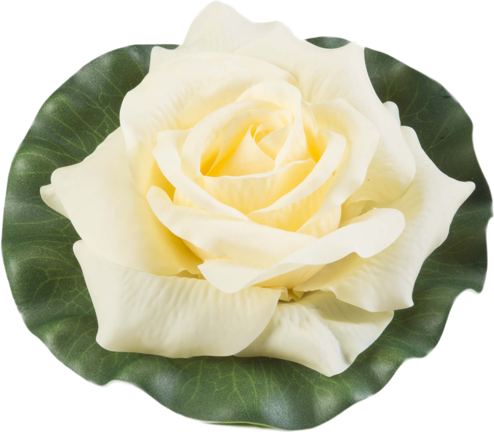 Centifolia Roses Organization Garden Roses Customer - Centifolia Roses Organization Garden Roses Customer (2126x1905)