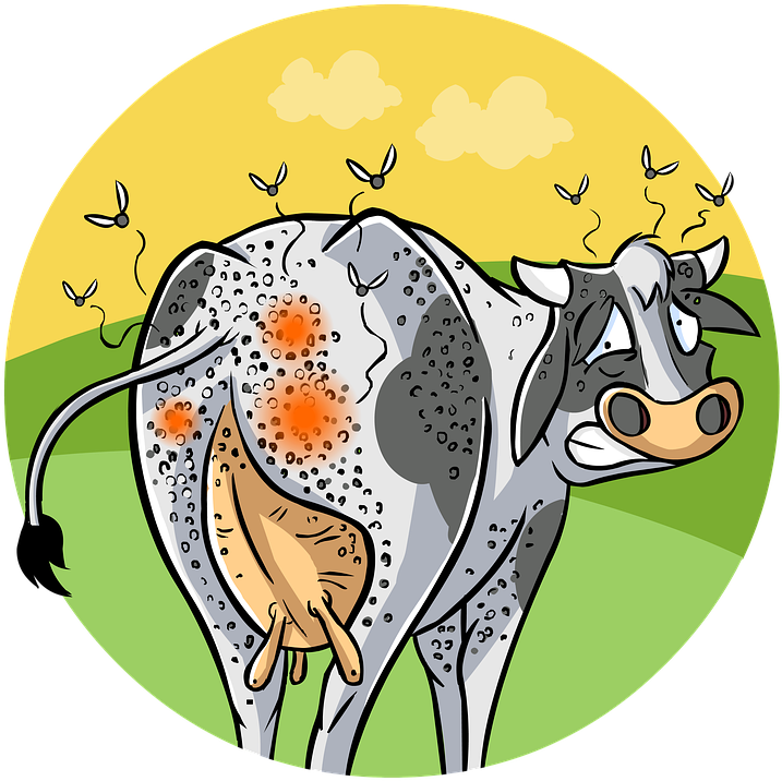 Agribusiness, Agriculture, Livestock, Animal Disease - Disease On Livestock Clipart (731x720)