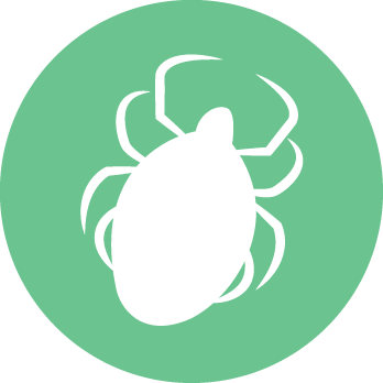 Lyme Disease - Skull And Crossbones With Bow (348x348)