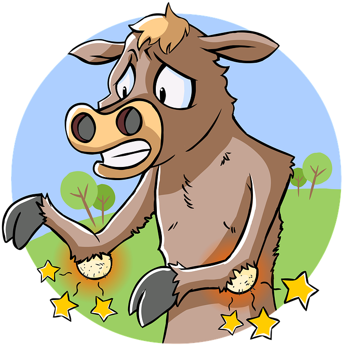 Agribusiness, Agriculture, Livestock, Animal Disease - Animal Disease Animated (720x720)