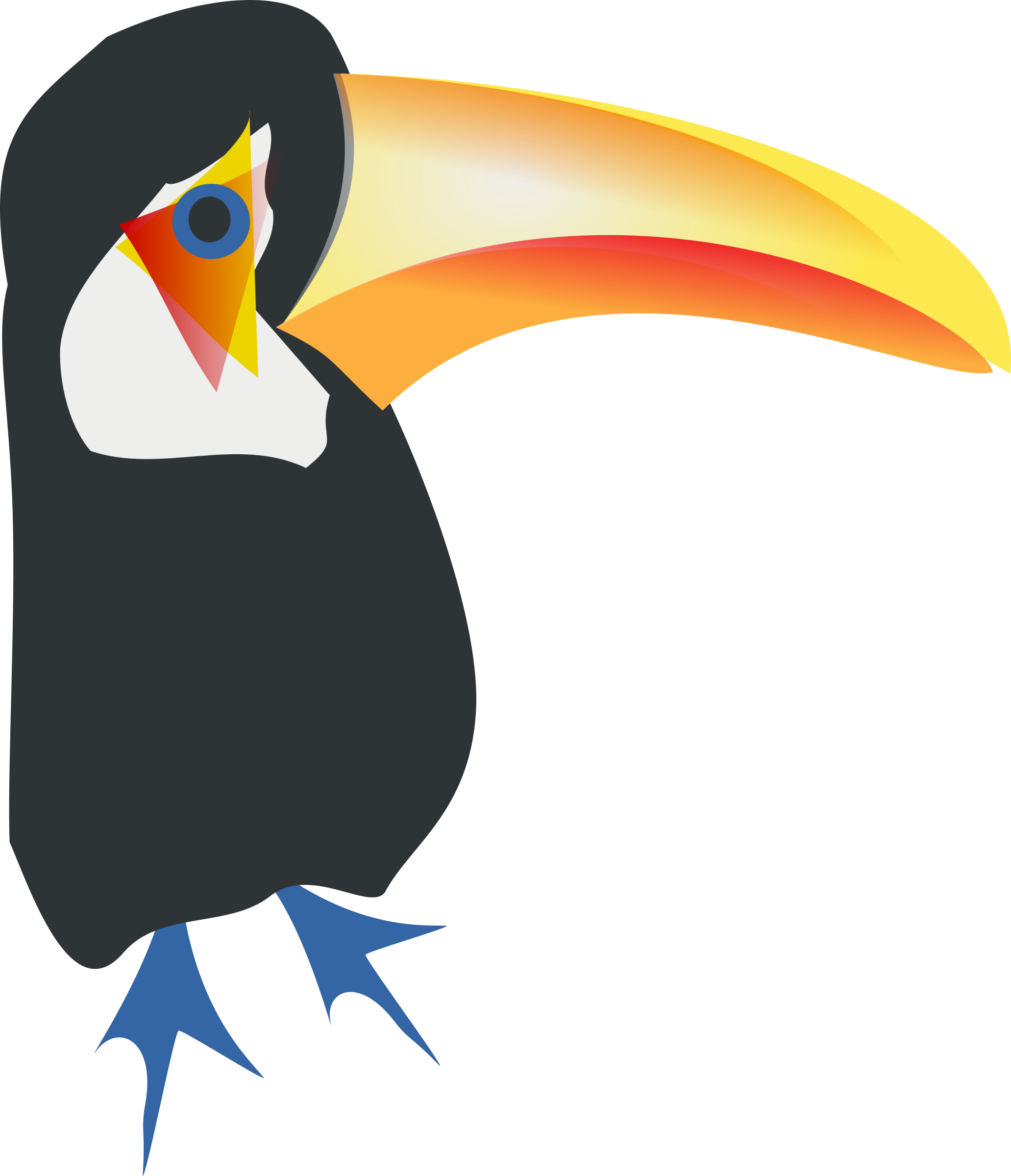 Big Image - Toucan Bird Shower Curtain (2063x2400)