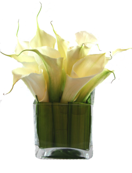 Calla Lilies - Jarro De Vidro Quadrado Flores (450x600)