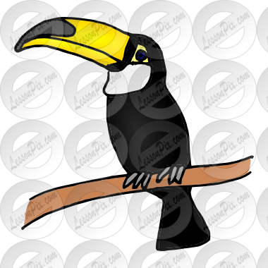 Toucan Picture - Toucan (380x380)