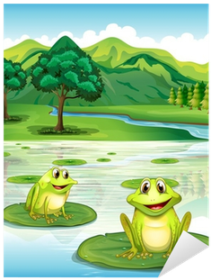 Naklejka Dwie Żaby Powyższe Na Waterlilies • Pixers® - Mes De Lo Recursos Naturales (400x400)