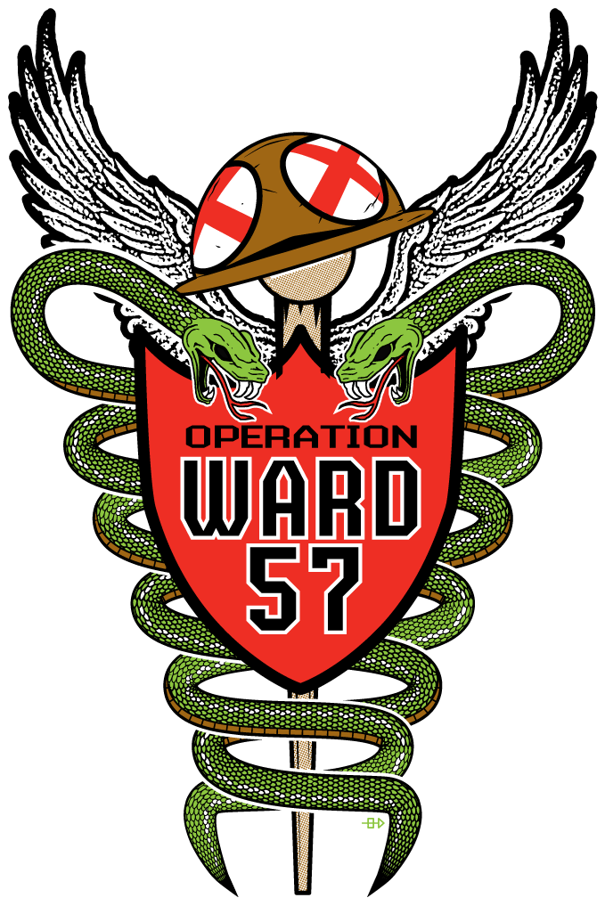 Organization Mission Statement Support Wounded - Operation Ward 57 (678x1050)