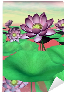Pink Waterlilies And Lotus Flowers - Sacred Lotus (400x400)