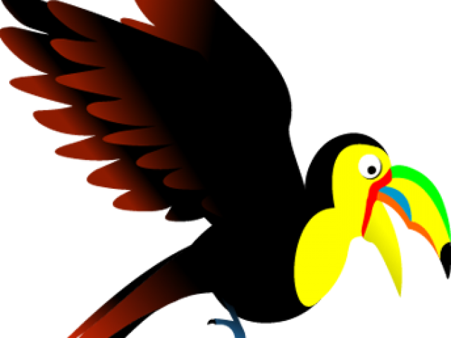 Toucan Clipart Flying - Hornbill (640x480)