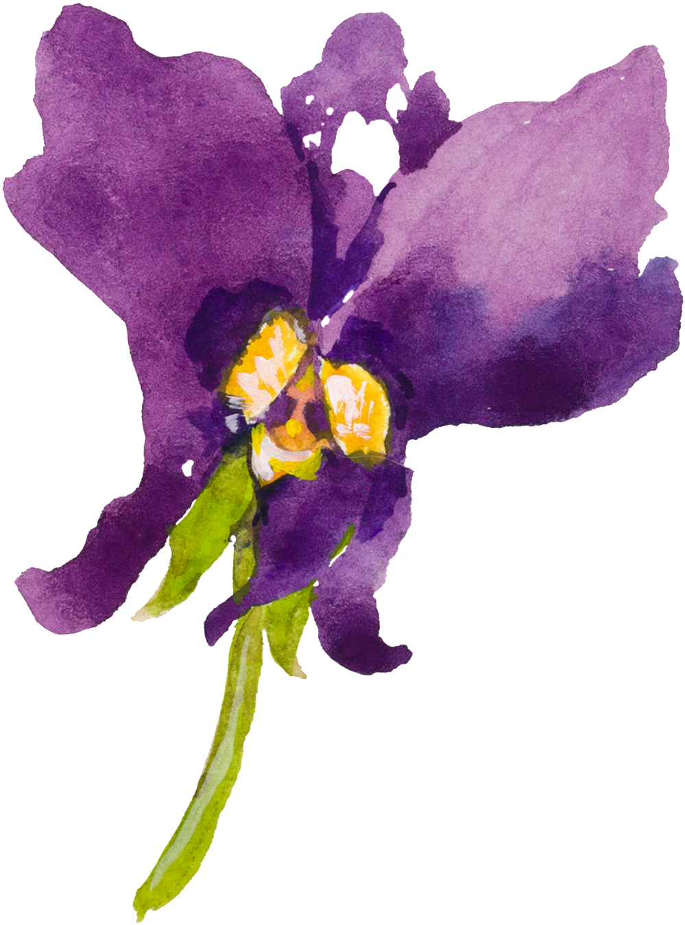 Purple Cartoon Butterfly Orchid Watercolor Transparent - Watercolor Painting (1024x1356)