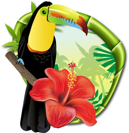 Jungle Dream Adventures Costa Rica - Toucan (450x450)